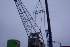 DSCI0842